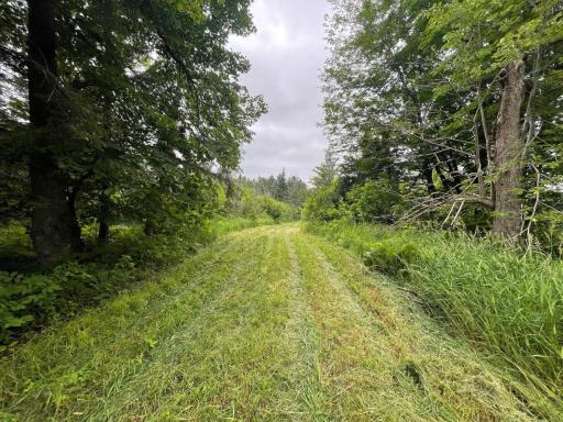 11097 S Pierce Road, Solon Springs, WI 54873