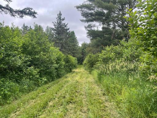 11097 S Pierce Road, Solon Springs, WI 54873