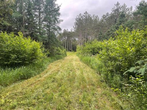 11097 S Pierce Road, Solon Springs, WI 54873