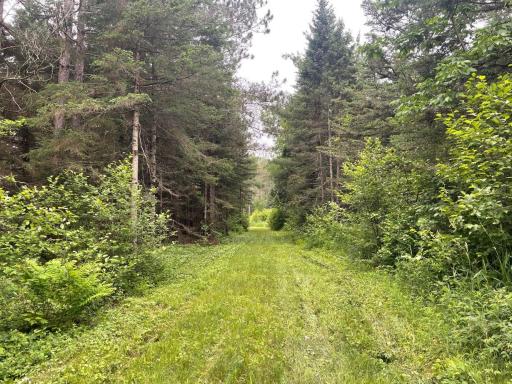 11097 S Pierce Road, Solon Springs, WI 54873