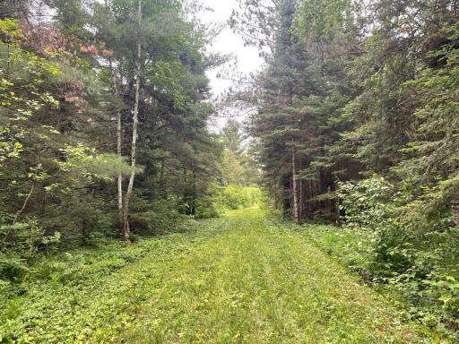 11097 S Pierce Road, Solon Springs, WI 54873