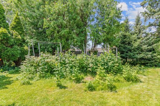 1456 Burke Ave, Roseville1456 Burke Ave, Roseville1456 Burke Ave, Roseville-36.jpg