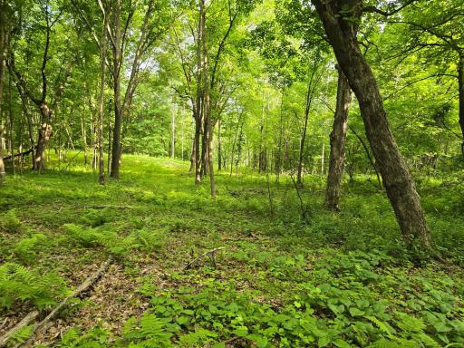 TBD 120th Avenue, Amery, WI 54001