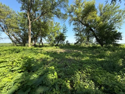 TBD 122nd Avenue NE, Eyota, MN 55934