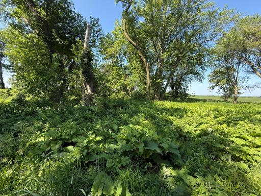 TBD 122nd Avenue NE, Eyota, MN 55934