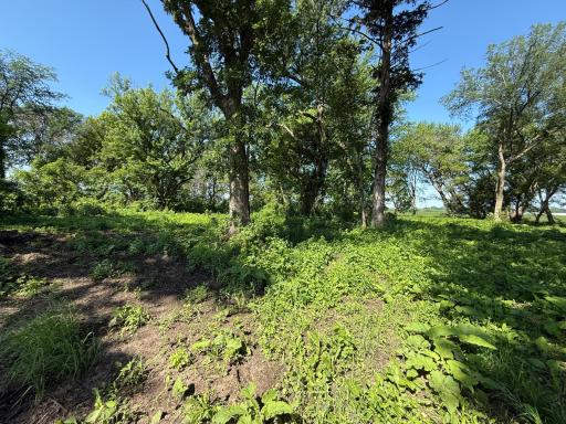 TBD 122nd Avenue NE, Eyota, MN 55934