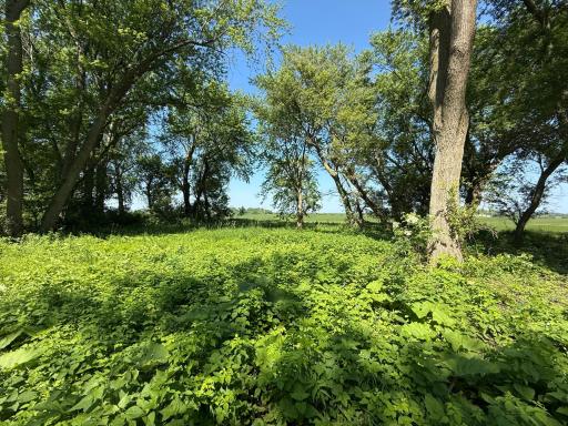 TBD 122nd Avenue NE, Eyota, MN 55934