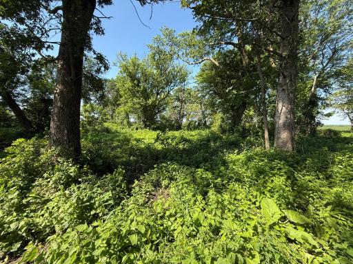 TBD 122nd Avenue NE, Eyota, MN 55934