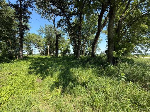 TBD 122nd Avenue NE, Eyota, MN 55934