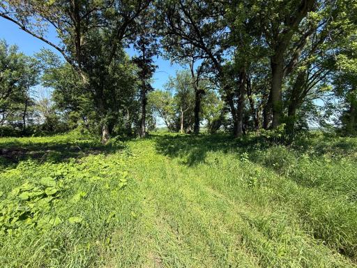 TBD 122nd Avenue NE, Eyota, MN 55934