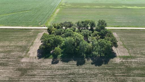 TBD 122nd Avenue NE, Eyota, MN 55934