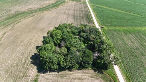 TBD 122nd Avenue NE, Eyota, MN 55934