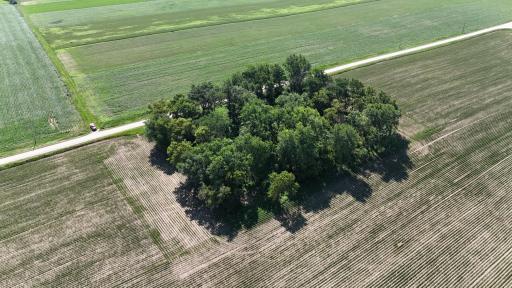 TBD 122nd Avenue NE, Eyota, MN 55934
