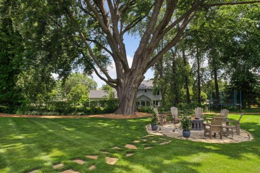Stepping stone path and fire pit under a breathtaking 120 year old Silver Maple!