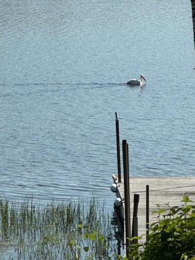 Photo for 1415 Riverside Drive NW, 1415, Baudette, MN 56623 - Listing #6750655 1415 Riverside Drive NW, 1415, Baudette, MN 56623