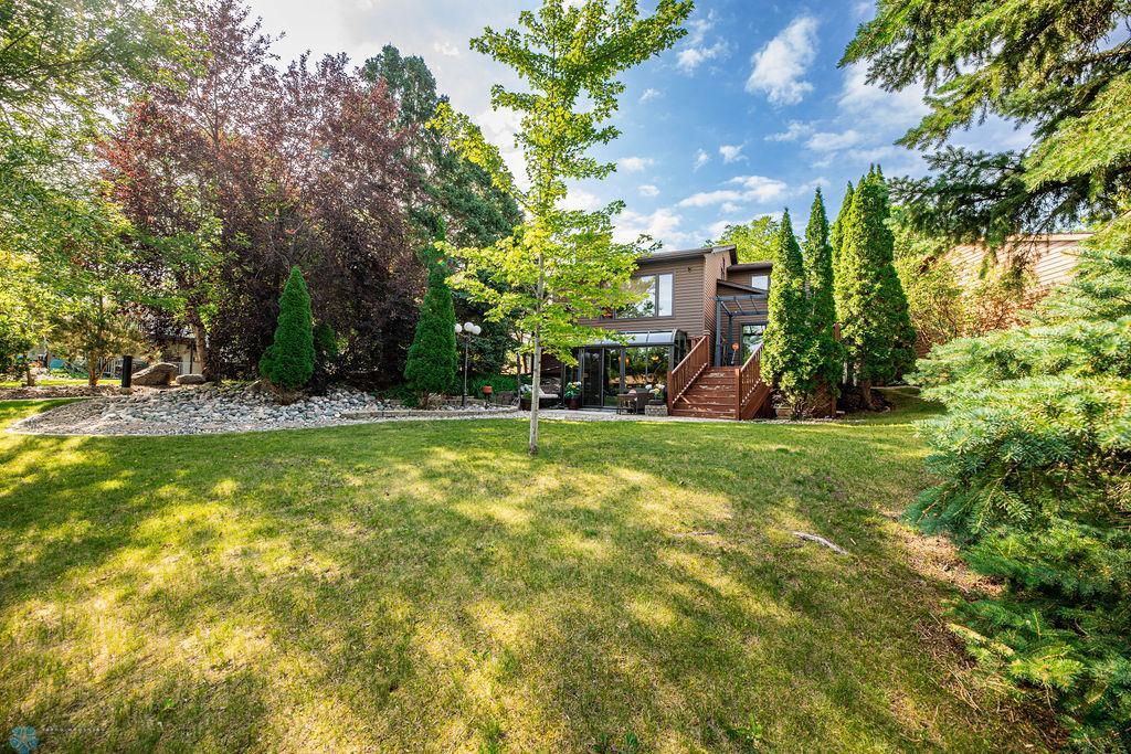 Beautiful yard