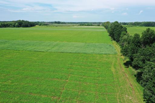 TBD 115th Avenue, Eagle Bend, MN 56446