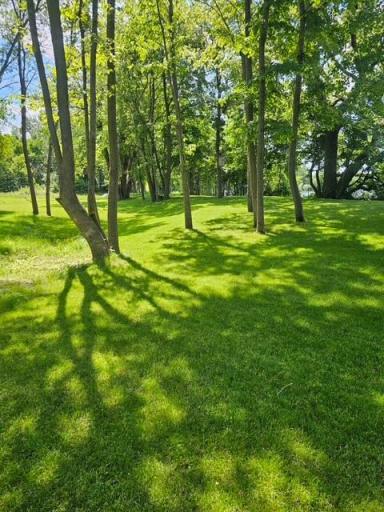 XXX County Road 27, Alexandria, MN 56308