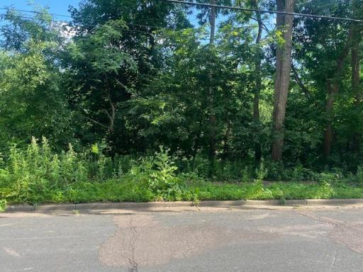 308 4th Street S, Stillwater, MN 55082