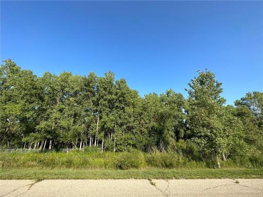Lot 3 Block 1 Kenrick Avenue, Lakeville, MN 55044