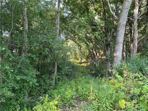 Lot 3 Block 1 Kenrick Avenue, Lakeville, MN 55044