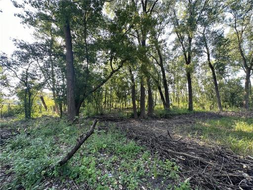 Lot 3 Block 1 Kenrick Avenue, Lakeville, MN 55044