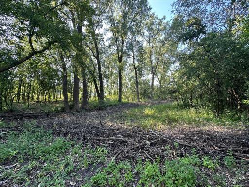 Lot 3 Block 1 Kenrick Avenue, Lakeville, MN 55044