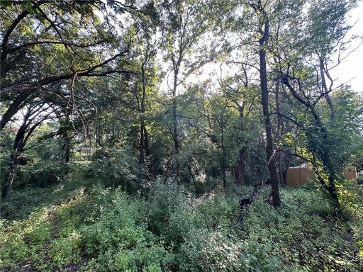 Lot 3 Block 1 Kenrick Avenue, Lakeville, MN 55044