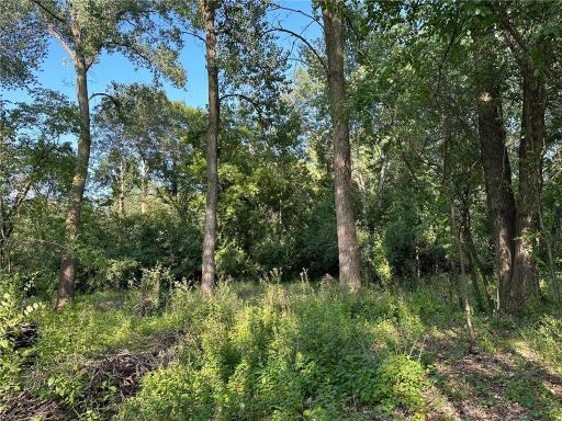 Lot 3 Block 1 Kenrick Avenue, Lakeville, MN 55044