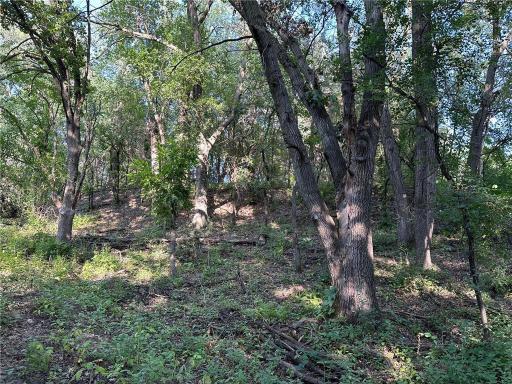 Lot 3 Block 1 Kenrick Avenue, Lakeville, MN 55044