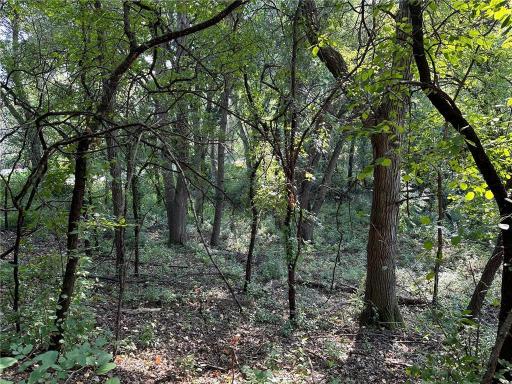 Lot 3 Block 1 Kenrick Avenue, Lakeville, MN 55044