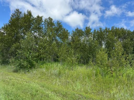 48285 229th Avenue, Clearbrook, MN 56634