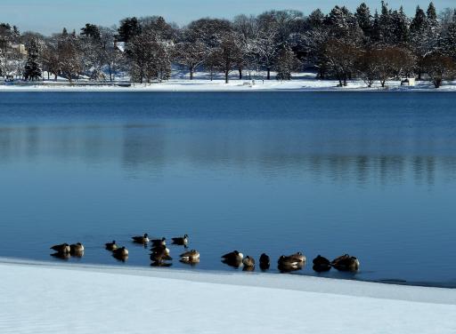 Winter is coming... The paths are plowed all winter long.