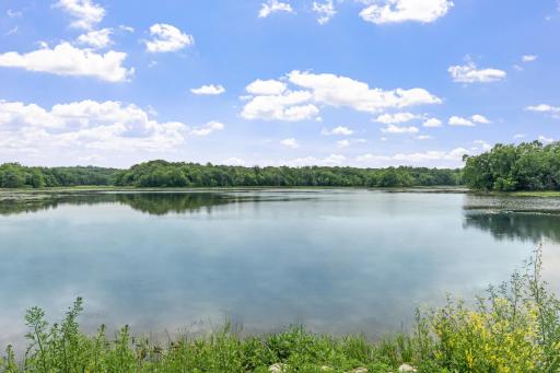 4825 Linden Cove Lane, Savage, MN 55378