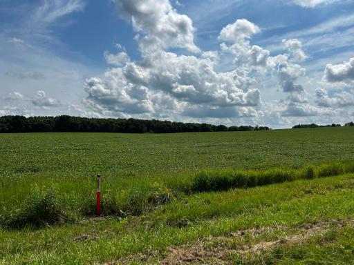 XX TBD Mellgren Lane, Chaska, MN 55318
