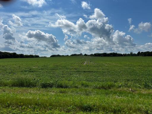 XX TBD Mellgren Lane, Chaska, MN 55318
