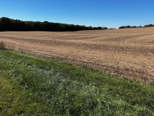 XX TBD Mellgren Lane, Chaska, MN 55318