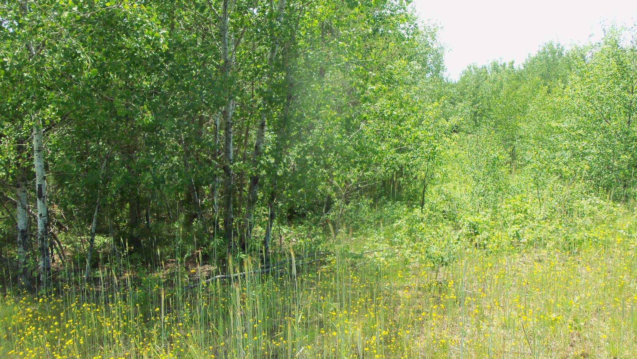 100_5370.JPG