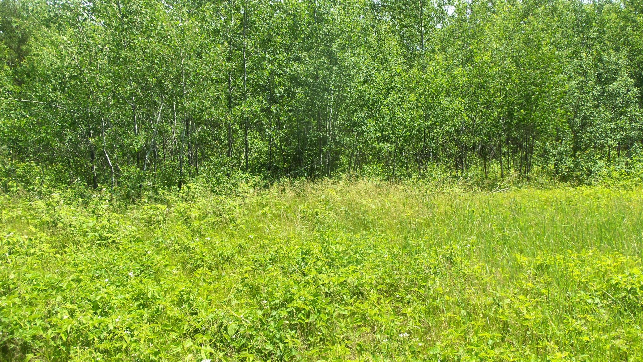 100_5372.JPG
