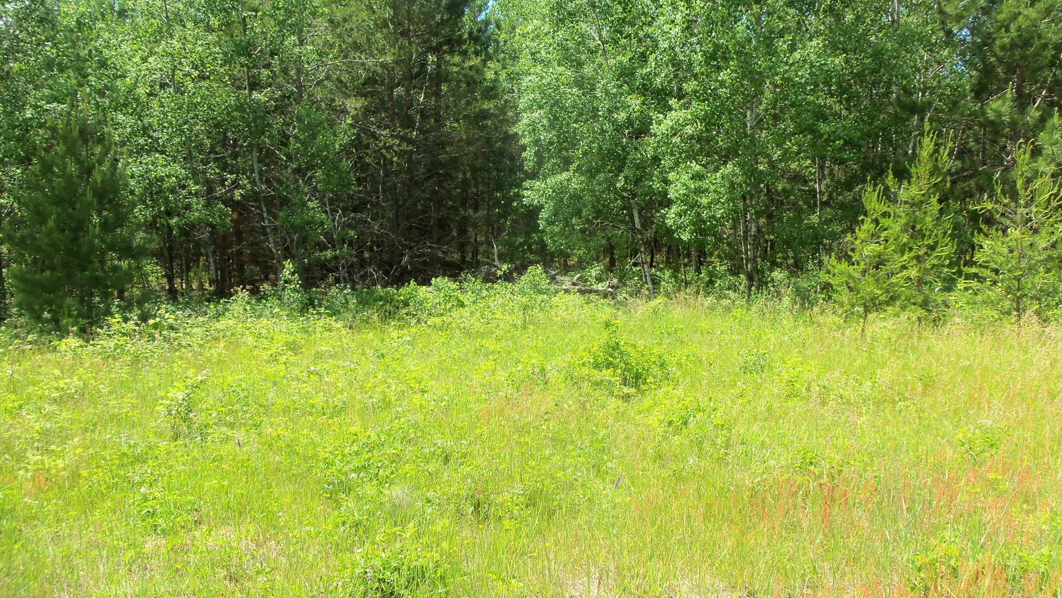 100_5371.JPG