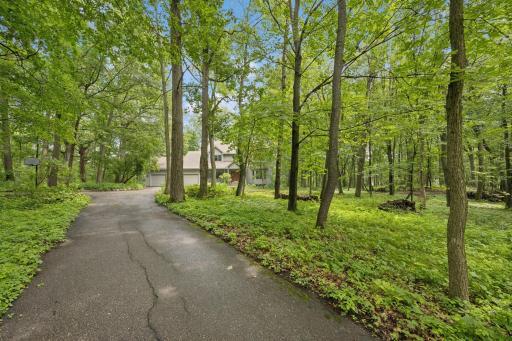 Your private escape awaits... Nestled on pristine acreage with towering trees, abundant wildlife, and water access a hike away, this property is a true hidden gem. If you're dreaming of morning coffee with deer in view take a peek. *1 Year warranty