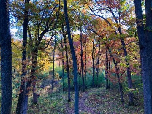 Trails weave throughout the acreage, perfect for outdoor lovers. Whether hiking, cross-country skiing, biking or snowmobiling... options are right from your back door. Each season paints a new and beautiful canvas to explore.