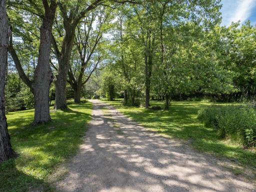 13775 Isleton Ave N Hugo MN 55038 USA-013-020-Driveway-MLS_Size.jpg