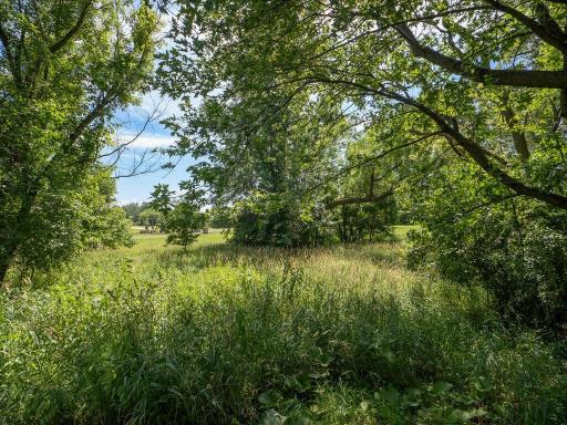 13775 Isleton Ave N Hugo MN 55038 USA-030-031-Lot-MLS_Size.jpg