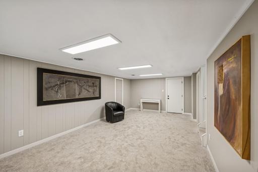 Lower level family room .jpg