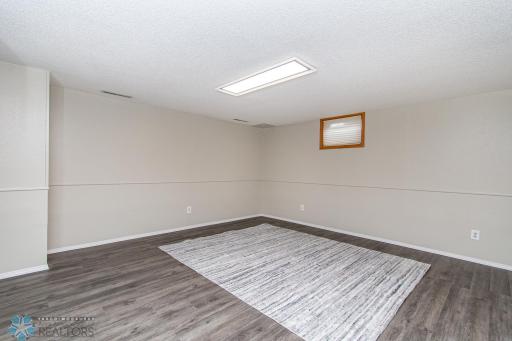 Basement Family Room