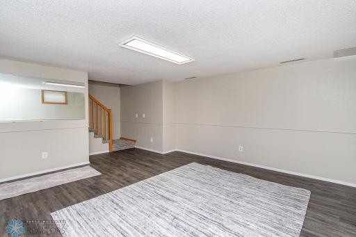 Basement Family Room