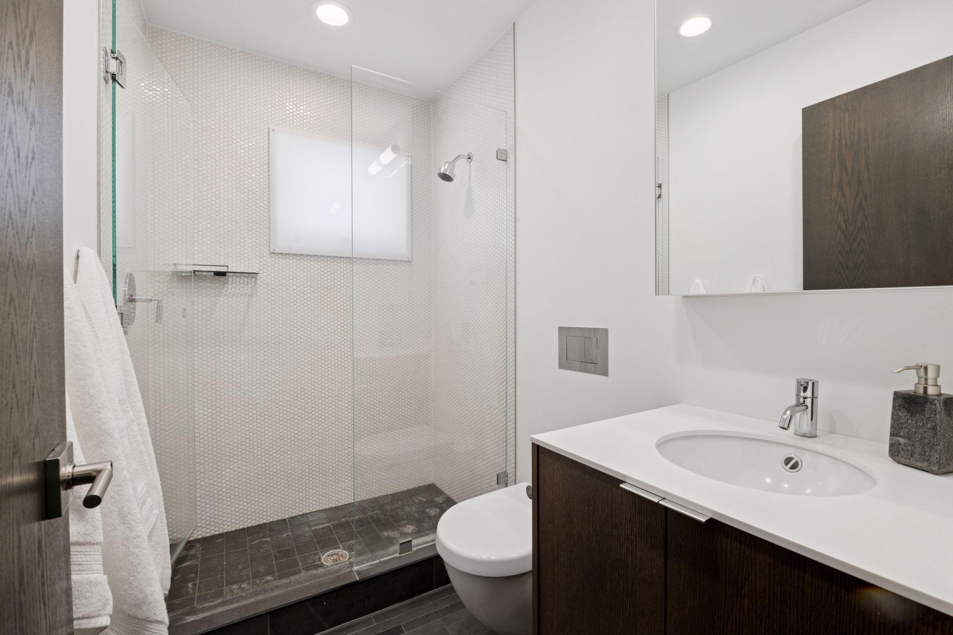 Hallway bathroom with updated modern fixtures