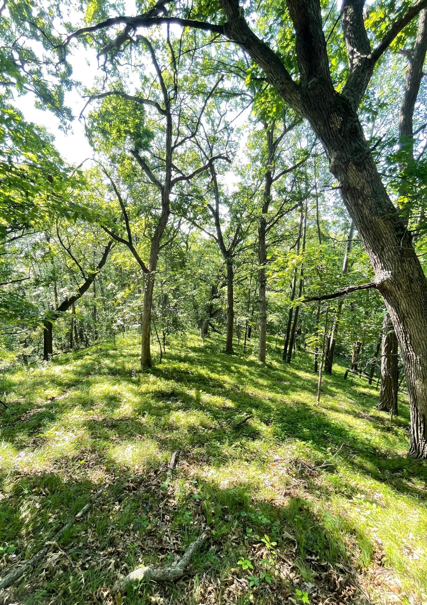 Potential Cabin Sites