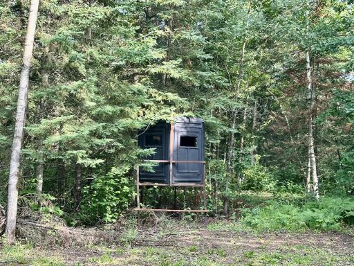 Photo for 21761 Bemis Hill Forest Road, Salol, MN 56756 - Listing #6752701 21761 Bemis Hill Forest Road, Salol, MN 56756